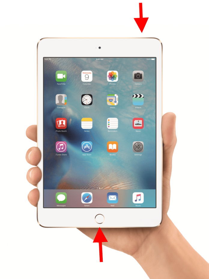 How To Screenshot on iPad Pro Gadgetnotebook